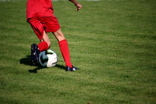 九游娱乐(jiuyou)官网-鹈鹕青训体系被评为联盟样板项目，鹈鹕原来是哪个队